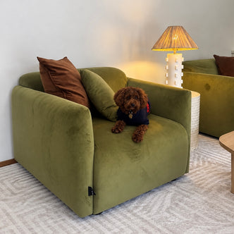 Vestalia Single Seater Velvet Sofa in Olive Green alternate product view