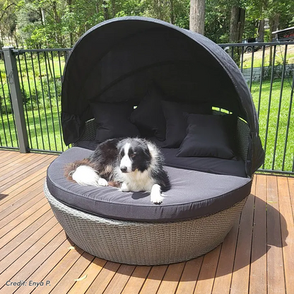 Erith Round Wicker Outdoor Canopy Daybed in Brown & Black