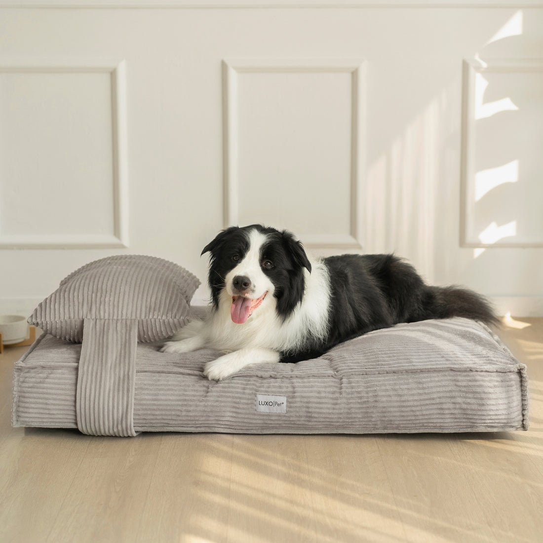 Dax Extra Large Corduroy Dog Bed – Grey Comfort features a plush, raised bolster design providing neck support, shown with a relaxed dog lying comfortably, highlighting its ample size and soft structure.