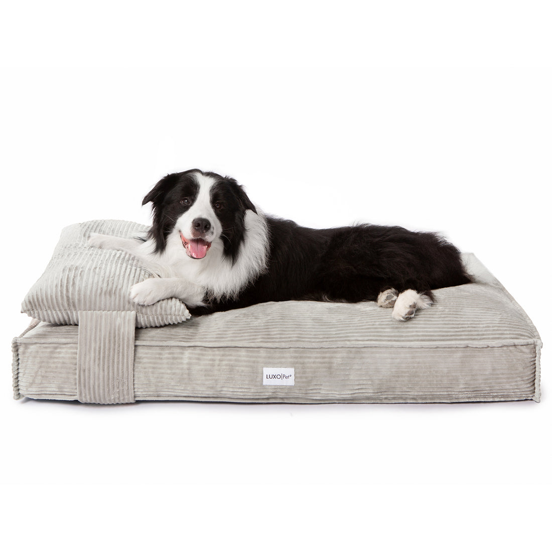 Dax Extra Large Corduroy Dog Bed – Grey Comfort: A large dog rests on a plush, grey corduroy bed with raised bolster sides, providing support. The bed appears spacious, sturdy, and stylishly designed.