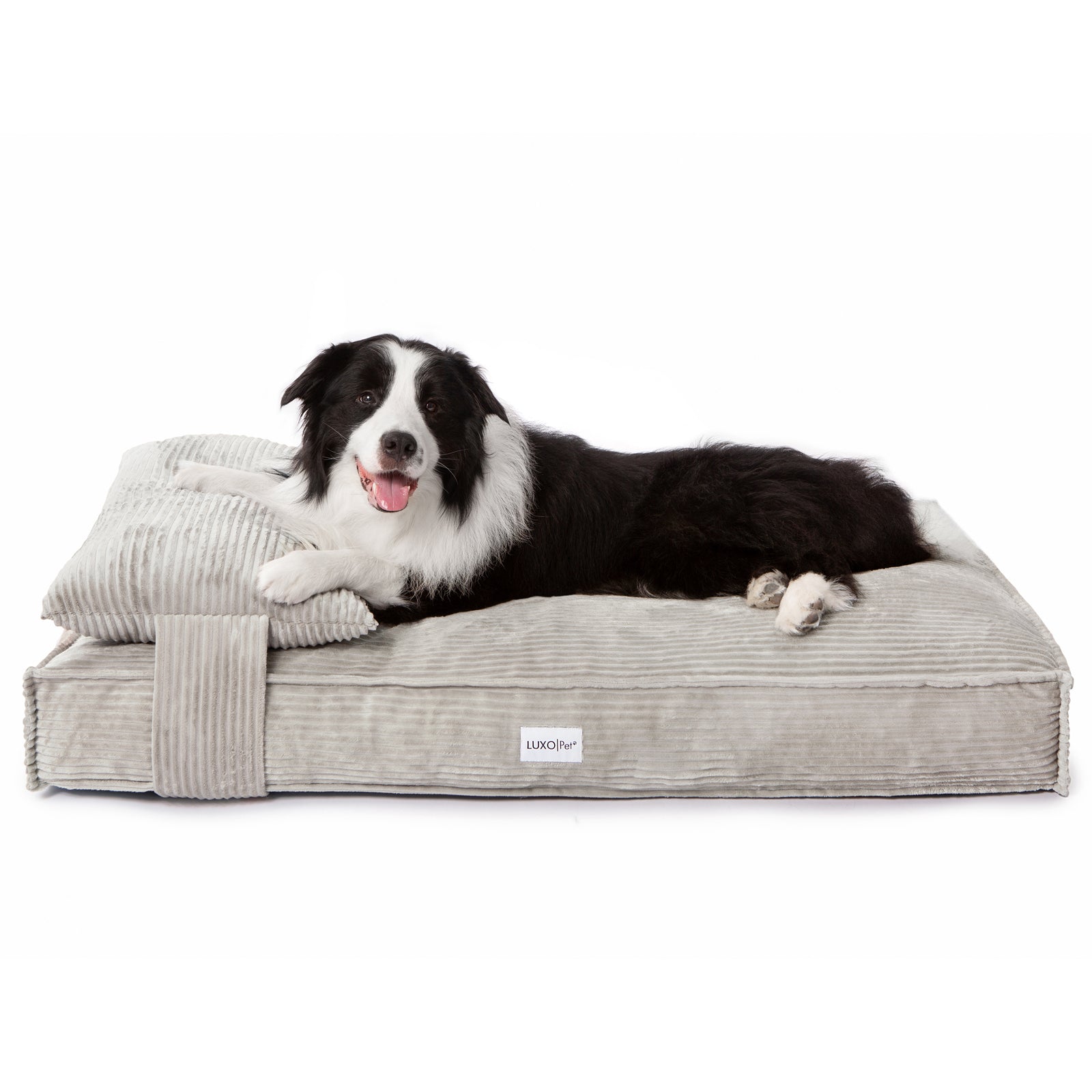 Dax Extra Large Corduroy Dog Bed – Grey Comfort: A large dog rests on a plush, grey corduroy bed with raised bolster sides, providing support. The bed appears spacious, sturdy, and stylishly designed.