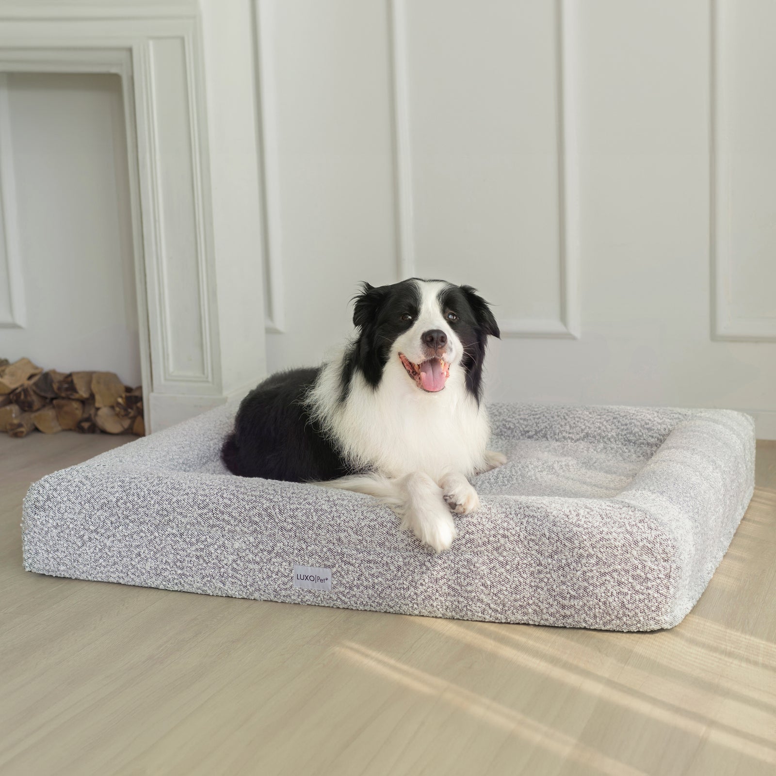 Tyro Luxe Large Orthopedic Pet Bed – Black & White, shown with a large dog resting comfortably on its high-density memory foam base, featuring a stylish boucle fabric and non-slip bottom.