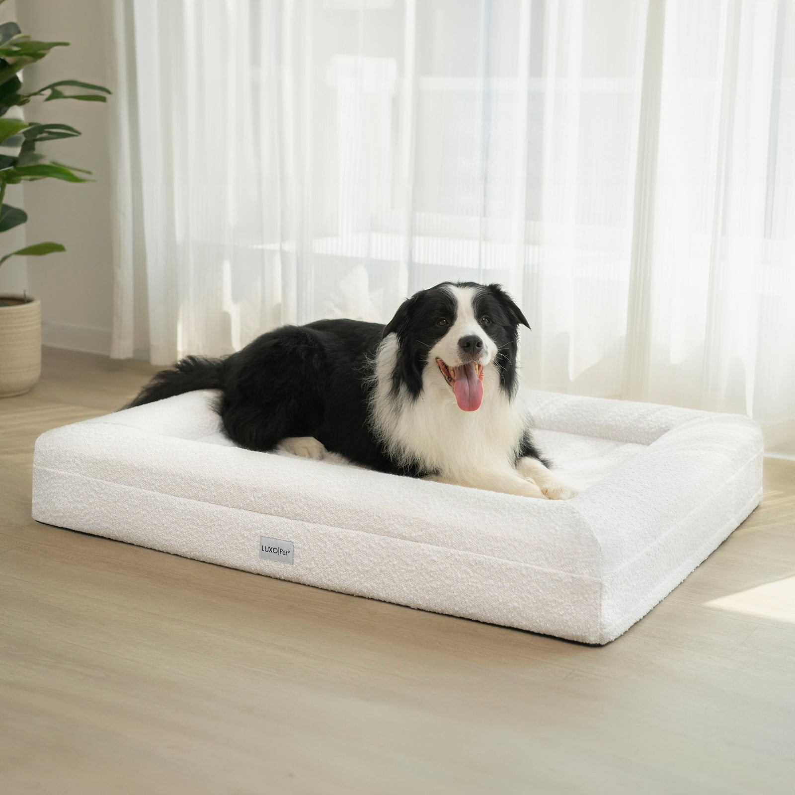 Tyro Luxe Large Orthopedic Pet Bed – Light Beige with a dog comfortably lying on it, showcasing the bed's soft boucle fabric and supportive dual-layer memory foam design for large pets.