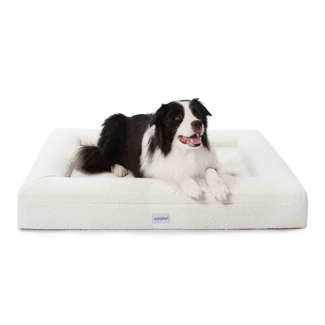 Tyro Luxe Large Orthopedic Pet Bed – Light Beige, showcasing a dog comfortably lying on its supportive memory foam surface, designed for large pets with a soft, durable boucle cover.