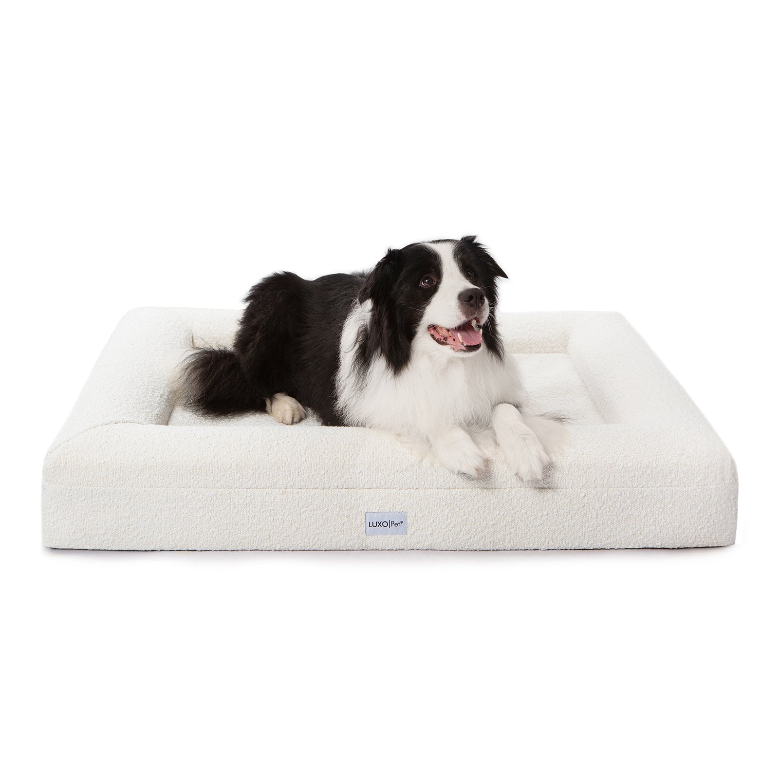 Tyro Luxe Large Orthopedic Pet Bed – Light Beige, showcasing a dog comfortably lying on its supportive memory foam surface, designed for large pets with a soft, durable boucle cover.