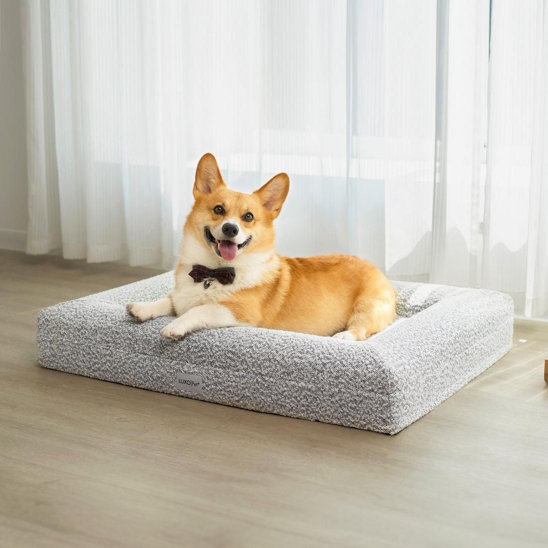 Tyro Luxe Medium Orthopedic Pet Bed with textured boucle cover, shown in a close-up with a dog wearing a bow tie, illustrating comfort and style ideal for medium-sized pets.
