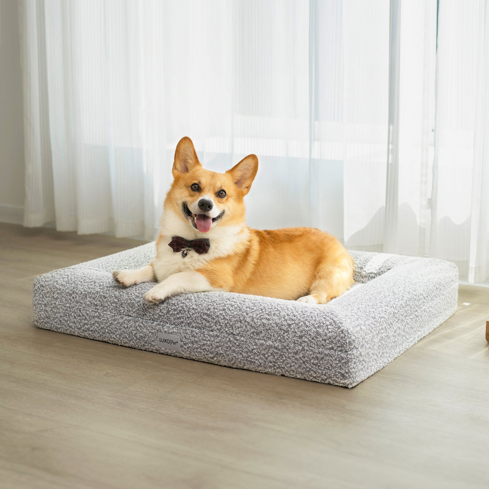Tyro Luxe Medium Orthopedic Pet Bed with textured boucle cover, shown in a close-up with a dog wearing a bow tie, illustrating comfort and style ideal for medium-sized pets.