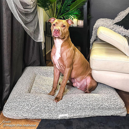 Tyro Luxe Medium Orthopedic Pet Bed – Black & White featuring a dog comfortably sitting on the bed, showcasing its cozy boucle texture and supportive design, ideal for medium-sized pets.