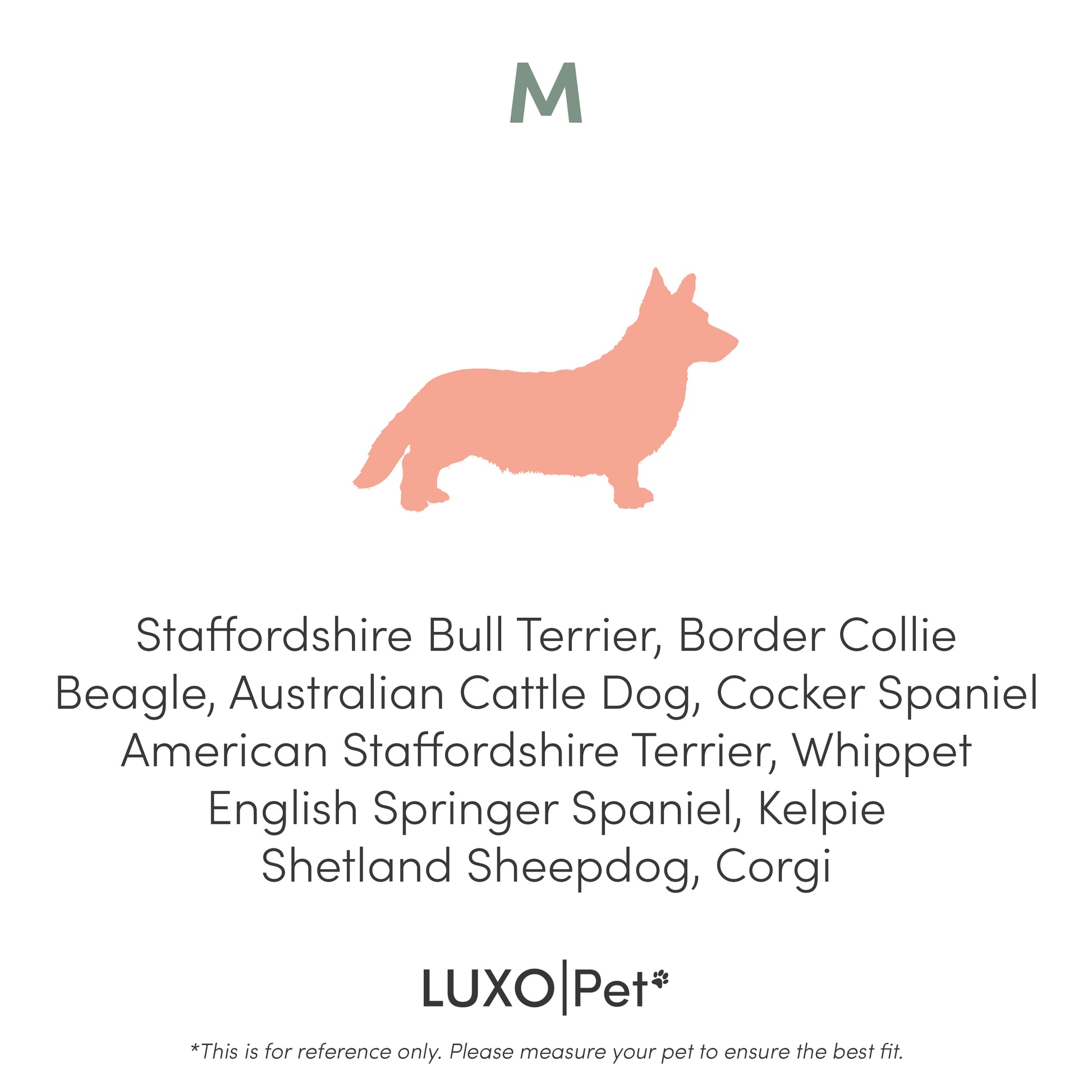 Tyro Luxe Medium Orthopedic Pet Bed features a plush surface and sturdy base, designed for optimal support and comfort for medium-sized pets, enhancing any modern home aesthetic.