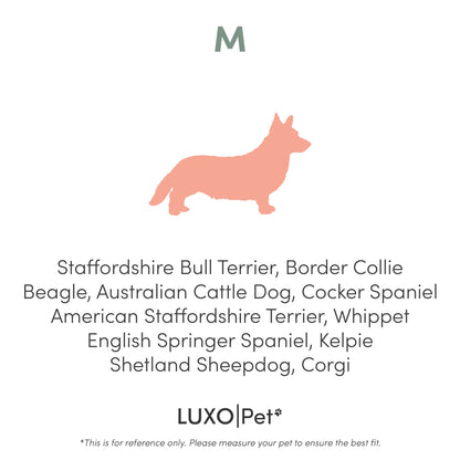 Tyro Luxe Medium Orthopedic Pet Bed features a plush surface and sturdy base, designed for optimal support and comfort for medium-sized pets, enhancing any modern home aesthetic.