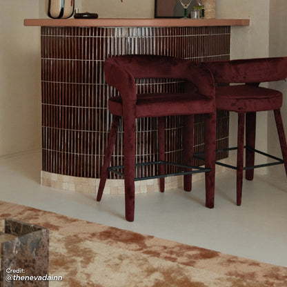 Eisha Velvet Dining Chair in Dark Plum (Set of 2)