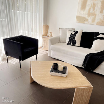 Avian Velvet Accent Sofa with Steel Legs in Black is showcased in a minimalist living room, featuring luxurious velvet upholstery, sleek steel legs, and two abstract throw pillows, creating a stylish focal point.