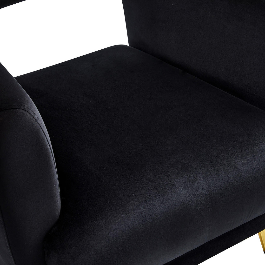 Bonnell Velvet Accent Chair with Gold Legs - Black