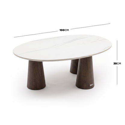 Modern oval coffee table on white background with dimensions marked 100cm wide and 38cm high