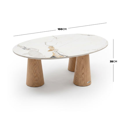 Oval marble-top coffee table with dimensions 100CM by 38CM on a white background