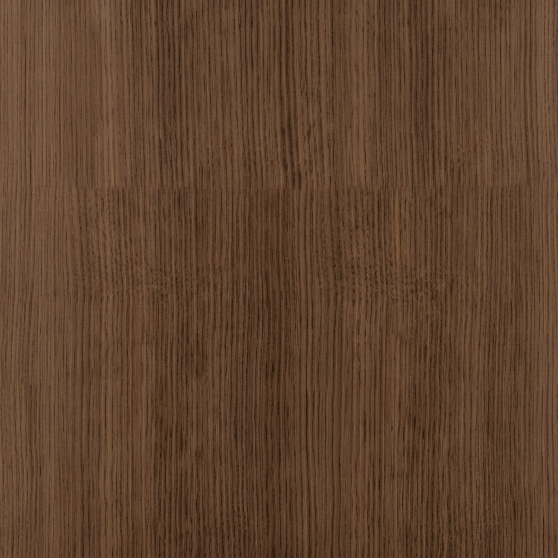Close-up of wood grain surface detail